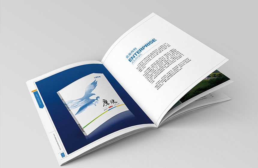 河南三鷹實業(yè)畫冊設(shè)計-8