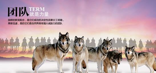 鄭州品牌策劃公司：公司團(tuán)隊(duì)企業(yè)團(tuán)隊(duì)復(fù)制和傳